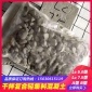 发泡混凝土强度轻质混凝土厂家轻骨料垫层驻马店